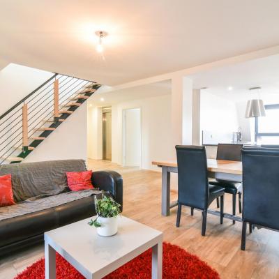 COLMAR DERNIER ETAGE